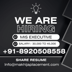 MIS Executive job in sector 06 Faridabad Haryana